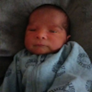 Meet your Posher, Nelly